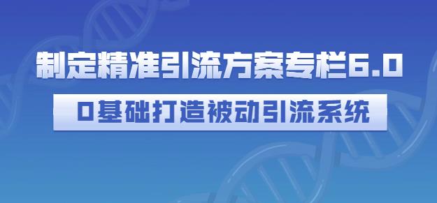 制定精准引流方案专栏6.0，0基础打造被动引流系统-汇课新知资源网
