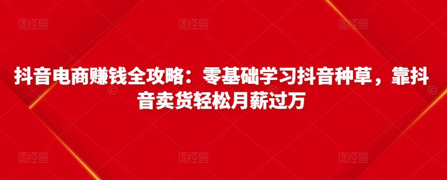 抖音电商赚钱全攻略：零基础学习抖音种草，靠抖音卖货轻松月薪过万-汇课新知资源网