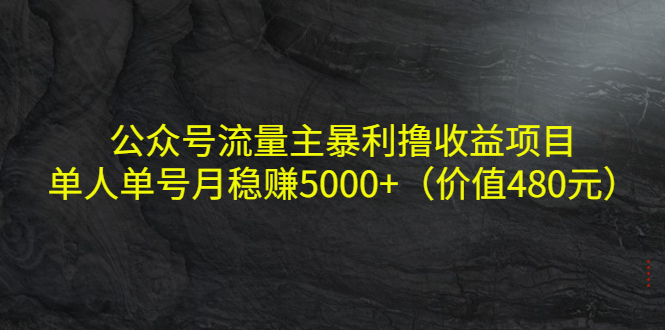 公众号流量主暴利撸收益项目，单人单号月稳赚5000+（价值480元）-汇课新知资源网