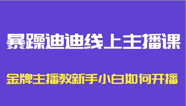 暴躁迪迪线上主播课，金牌主播教新手小白如何开播-汇课新知资源网