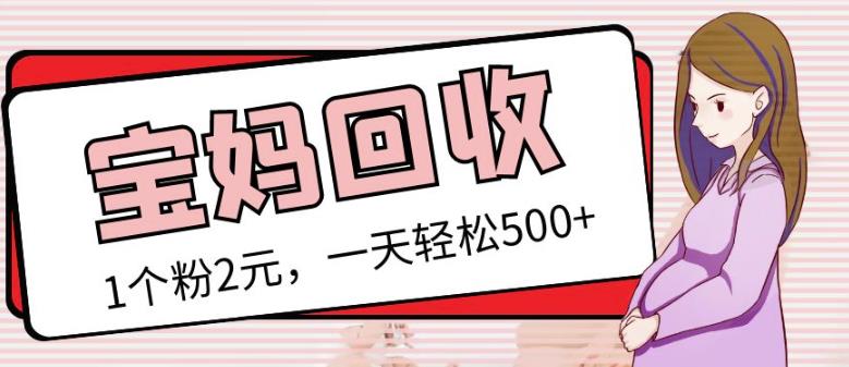 最新小红书母婴号宝妈粉回收项目，1个粉2元，一天轻松500+案例分享【粉丝包回收】-汇课新知资源网