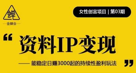 资料IP变现，能稳定日赚3000起的持续性盈利玩法-汇课新知资源网