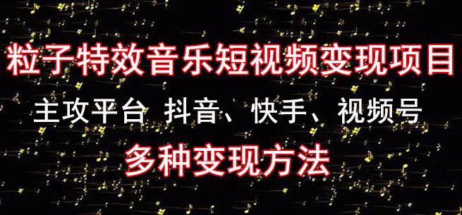 黄岛主《粒子特效音乐短视频变现项目》主攻平台抖音、快手、视频号多种变现方法-汇课新知资源网