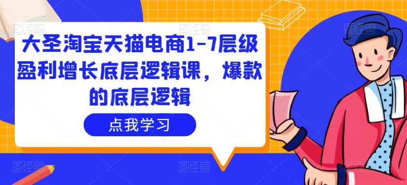 大圣淘宝天猫电商1-7层级盈利增长底层逻辑课，爆款的底层逻辑-汇课新知资源网