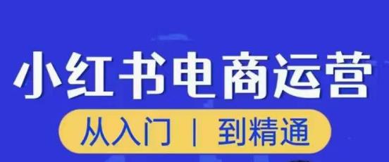 顽石小红书电商高阶运营课程，从入门到精通，玩法流程持续更新-汇课新知资源网