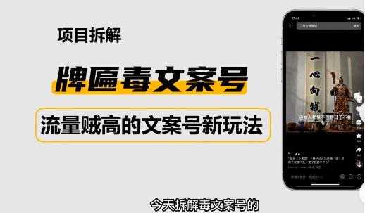 2023抖音快手毒文案新玩法，牌匾文案号，起号快易变现-汇课新知资源网