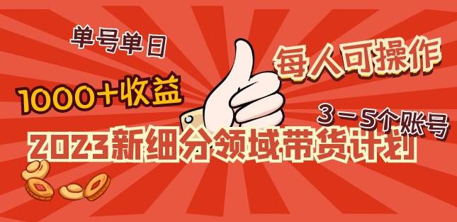 2023新细分领域带货计划：单号单日1000+收益不难，每人可操作3-5个账号-汇课新知资源网