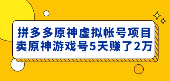 外面卖2980的拼多多原神虚拟帐号项目：卖原神游戏号5天赚了2万-汇课新知资源网