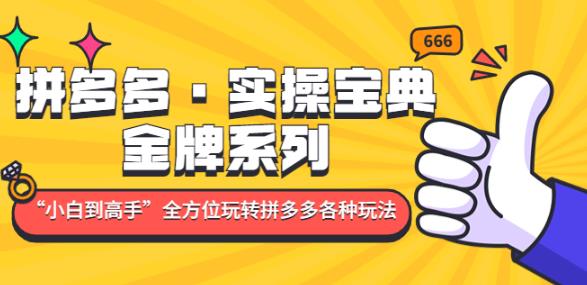 拼多多·实操宝典：金牌系列“小白到高手”带你全方位玩转拼多多各种玩法-汇课新知资源网