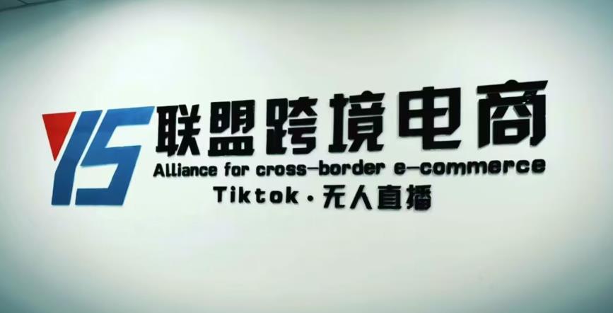 YS联盟·Tiktok无人直播，不出镜不剪辑不拍摄不发货无售后的跨境短视频躺赚玩法-汇课新知资源网