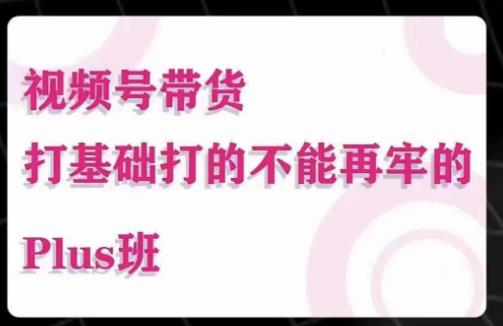 大播汇·视频号带货Puls班，视频号底层逻辑，起号自然流鱼塘等玩法-汇课新知资源网
