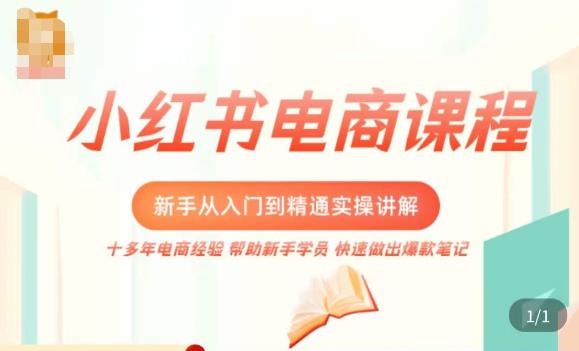 小红书电商新手入门到精通实操课，从入门到精通做爆款笔记，开店运营-汇课新知资源网