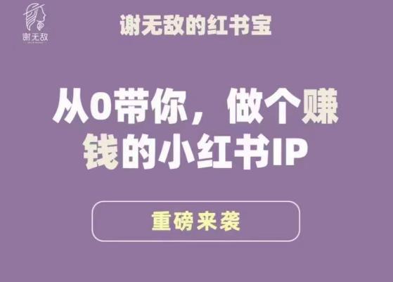 谢无敌·小红书运营大宝典，从0带你做个赚钱的小红书IP-汇课新知资源网