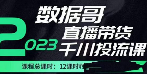 数据哥2023直播电商巨量千川付费投流实操课，快速掌握直播带货运营投放策略-汇课新知资源网