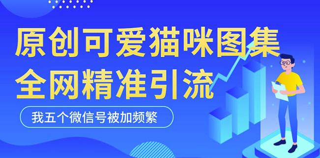 黑科技纯原创可爱猫咪图片，全网精准引流，实操5个VX号被加频繁-汇课新知资源网
