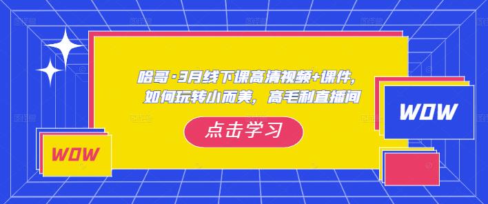 哈哥·3月线下实操课高清视频+课件，如何玩转小而美，高毛利直播间-汇课新知资源网