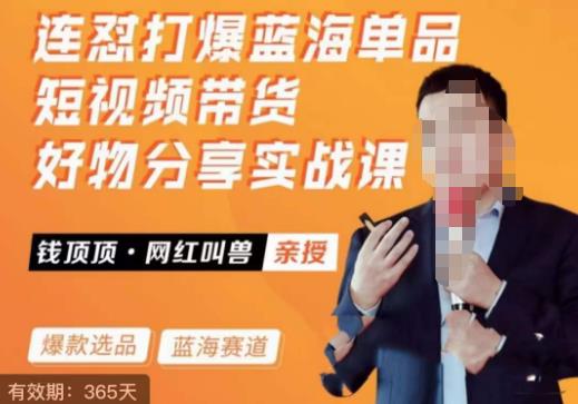 网红叫兽·连怼打爆蓝海单品，短视频带货好物分享实战课-汇课新知资源网