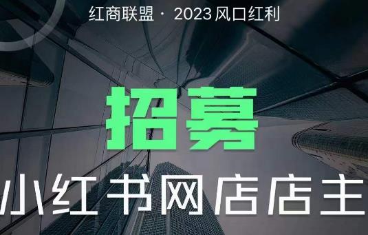 红商联盟·小红书无货源电商1.0，0粉丝无需囤货，小白也可以轻松上手的无货源项目-汇课新知资源网