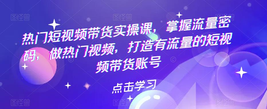 热门短视频带货实操课，掌握流量密码，做热门视频，打造有流量的短视频带货账号-汇课新知资源网