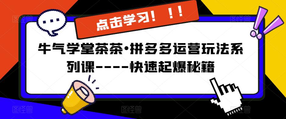 牛气学堂茶茶•拼多多运营玩法系列课—-快速起爆秘籍【更新】-汇课新知资源网