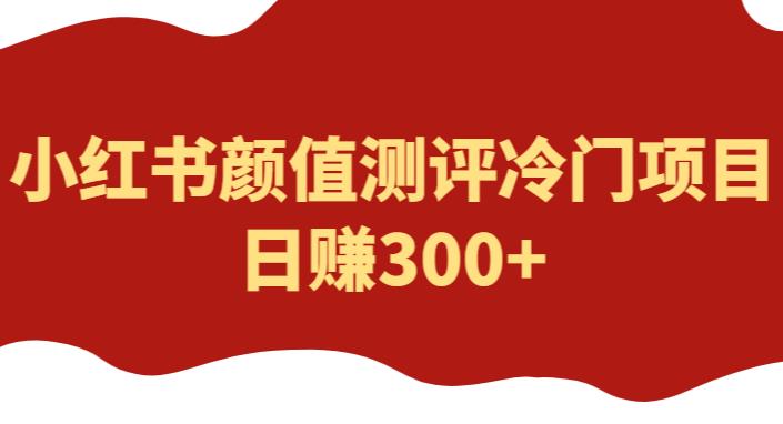 外面1980的项目，小红书颜值测评冷门项目，日赚300+【揭秘】-汇课新知资源网