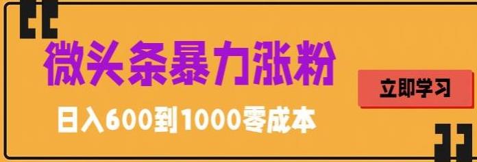微头条暴力涨粉技巧搬运文案就能涨几万粉丝，简单0成本，日赚600【揭秘】-汇课新知资源网