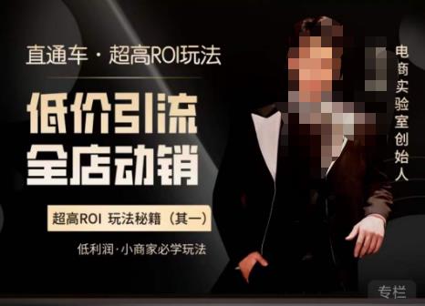 电商冰可乐·直通车·《低价引流·全店动销》，直通车·超高ROI玩法（其一）全店动销必学玩法-汇课新知资源网