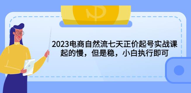 2023电商自然流七天正价起号实战课：起的慢，但是稳，小白执行即可！-汇课新知资源网