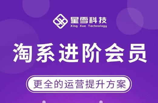星雪·淘系进阶课程，快速提升突破技能流量瓶颈必备（更新2023年5月）-汇课新知资源网