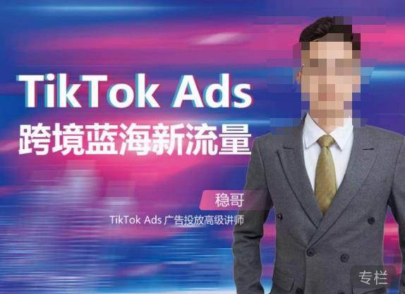 稳哥·如何投出高ROI的TikTok广告，开拓独立站卖家流量新蓝海-汇课新知资源网