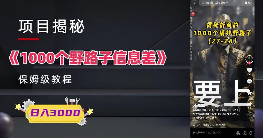 1000个野路子信息差保姆式教程-单日变现3000+的玩法解密-汇课新知资源网