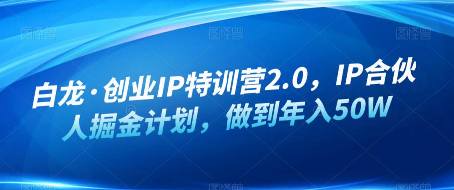 白龙·创业IP特训营2.0，IP合伙人掘金计划，做到年入50W-汇课新知资源网
