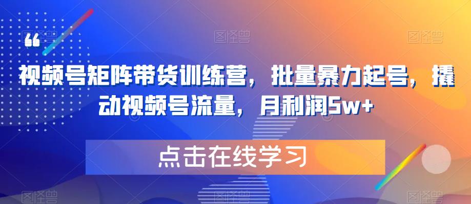 视频号矩阵带货训练营，批量暴力起号，撬动视频号流量，月利润5w+-汇课新知资源网