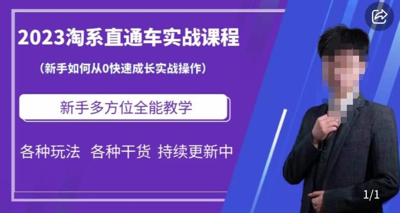 2023淘系直通车保姆式运营讲解，新手如何从0快速成长实战操作，新手多方位全能教学-汇课新知资源网