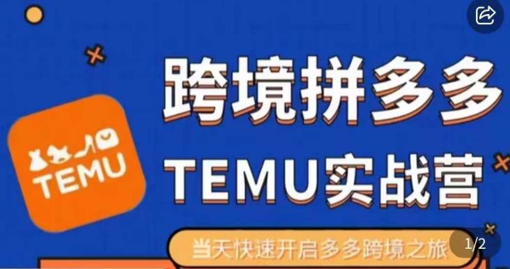 大鹏出海·拼多多跨境temu运营指导，开店注册+选品+核价上架，日出千单实战课-汇课新知资源网