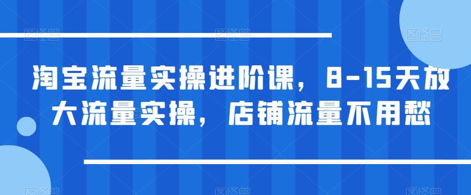 淘宝流量实操进阶课，8-15天放大流量实操，店铺流量不用愁-汇课新知资源网