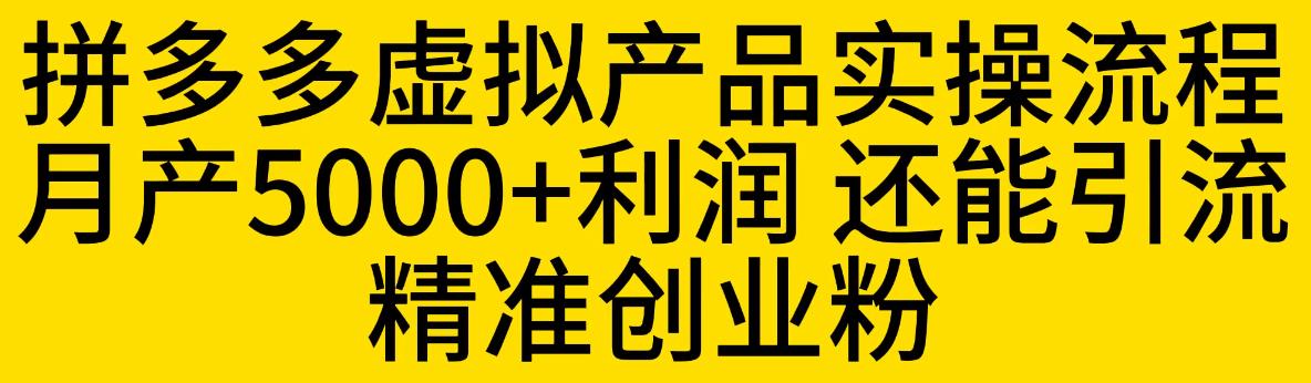 拼多多虚拟产品实操流程，月产5000+利润，还能引流精准创业粉【揭秘】-汇课新知资源网