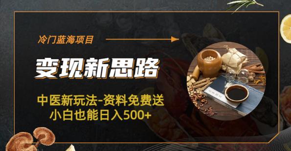 冷门蓝海项目-中医新玩法-资料免费送小白也能日入500+【揭秘】-汇课新知资源网