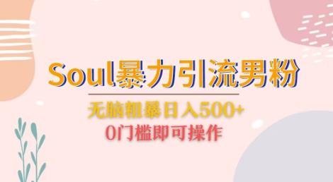 Soul暴力引流男粉玩法，无脑粗暴日入500＋，0门槛即可操作【揭秘】-汇课新知资源网