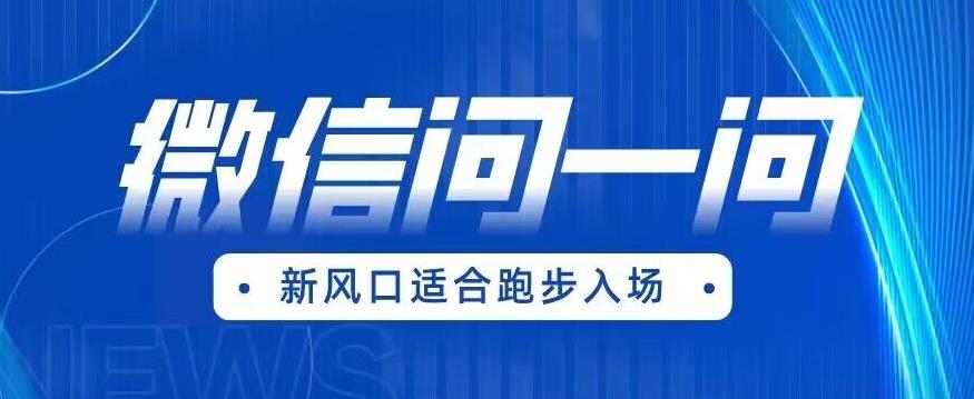 全网首发微信问一问新风口变现项目（价值1999元）【揭秘】-汇课新知资源网