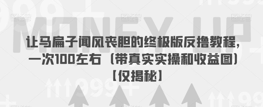 让马扁子闻风丧胆的终极版反撸教程，一次100左右（带真实实操和收益图）【仅揭秘】-汇课新知资源网
