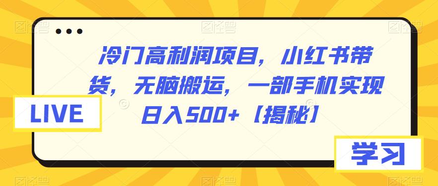 冷门高利润项目，小红书带货，无脑搬运，一部手机实现日入500+【揭秘】-汇课新知资源网
