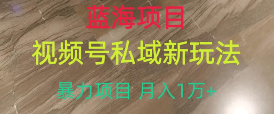 蓝海项目，视频号私域新玩法，暴力项目月入1万+【揭秘】-汇课新知资源网