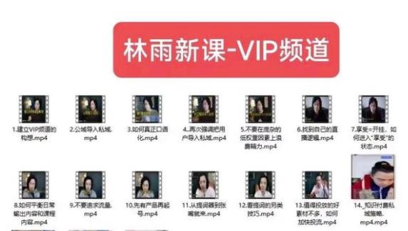 林雨新课VIP频道，玩赚私域/朋友圈/社群-汇课新知资源网