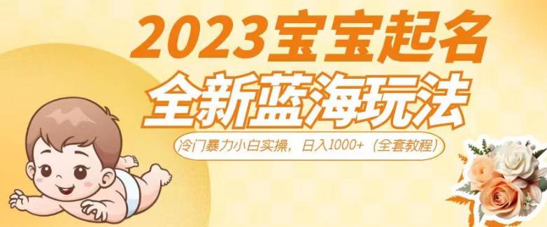 2023宝宝起名全新蓝海玩法，冷门暴力小白实操，日入1000+（全套教程）【揭秘】-汇课新知资源网