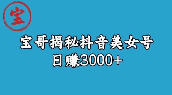 宝哥揭秘抖音美女号玩法，日赚3000+【揭秘】-汇课新知资源网