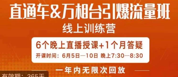 直通车&万相台引爆流量班，6天打通你开直通车·万相台的任督二脉-汇课新知资源网