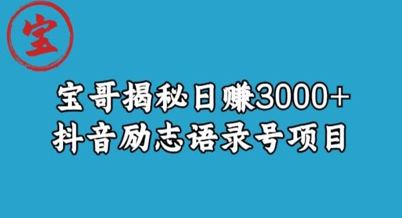 宝哥揭秘日赚3000+抖音励志语录号短视频变现项目-汇课新知资源网