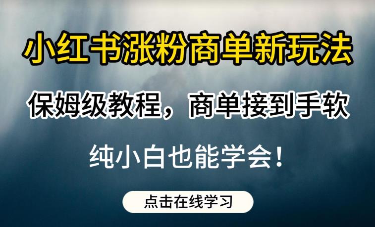 小红书涨粉商单新玩法，保姆级教程，商单接到手软，纯小白也能学会【揭秘】-汇课新知资源网