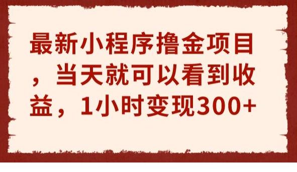 最新小程序撸金项目，当天就可以看到收益，1小时变现300+【揭秘】-汇课新知资源网